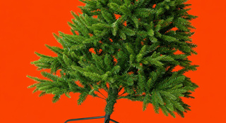 kerstbomen