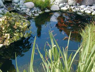 Bassin en bâche