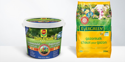 Éliminer les mauvaises herbes de votre gazon