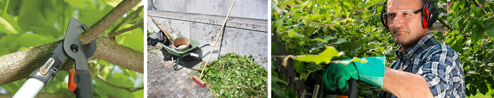 Tailler dans le jardin